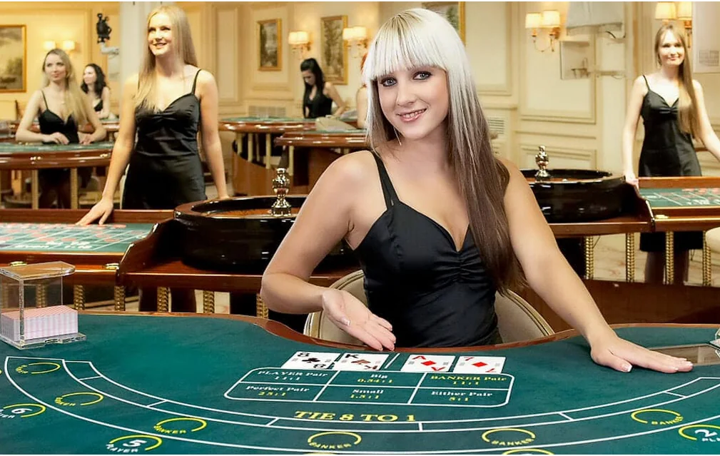 Suasana meja dealer kasino live SUSTER4D